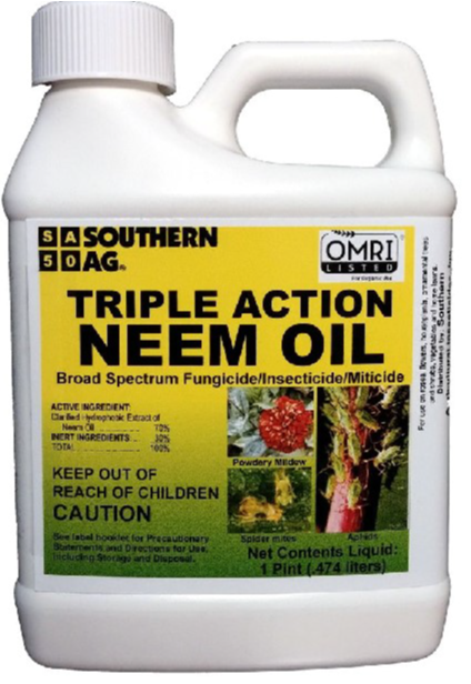 Neem